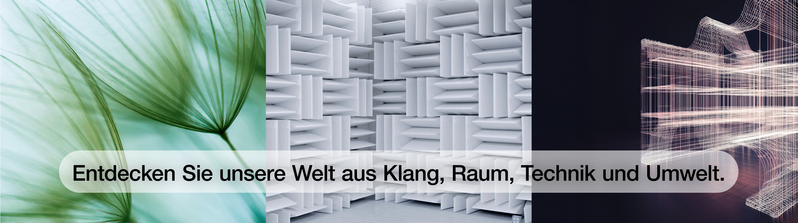 Müller-BBM Group